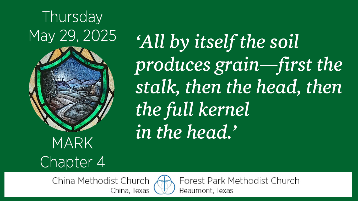 All by itself the soil produces grain - first the stalk, then the head, then the full kernel in the head.