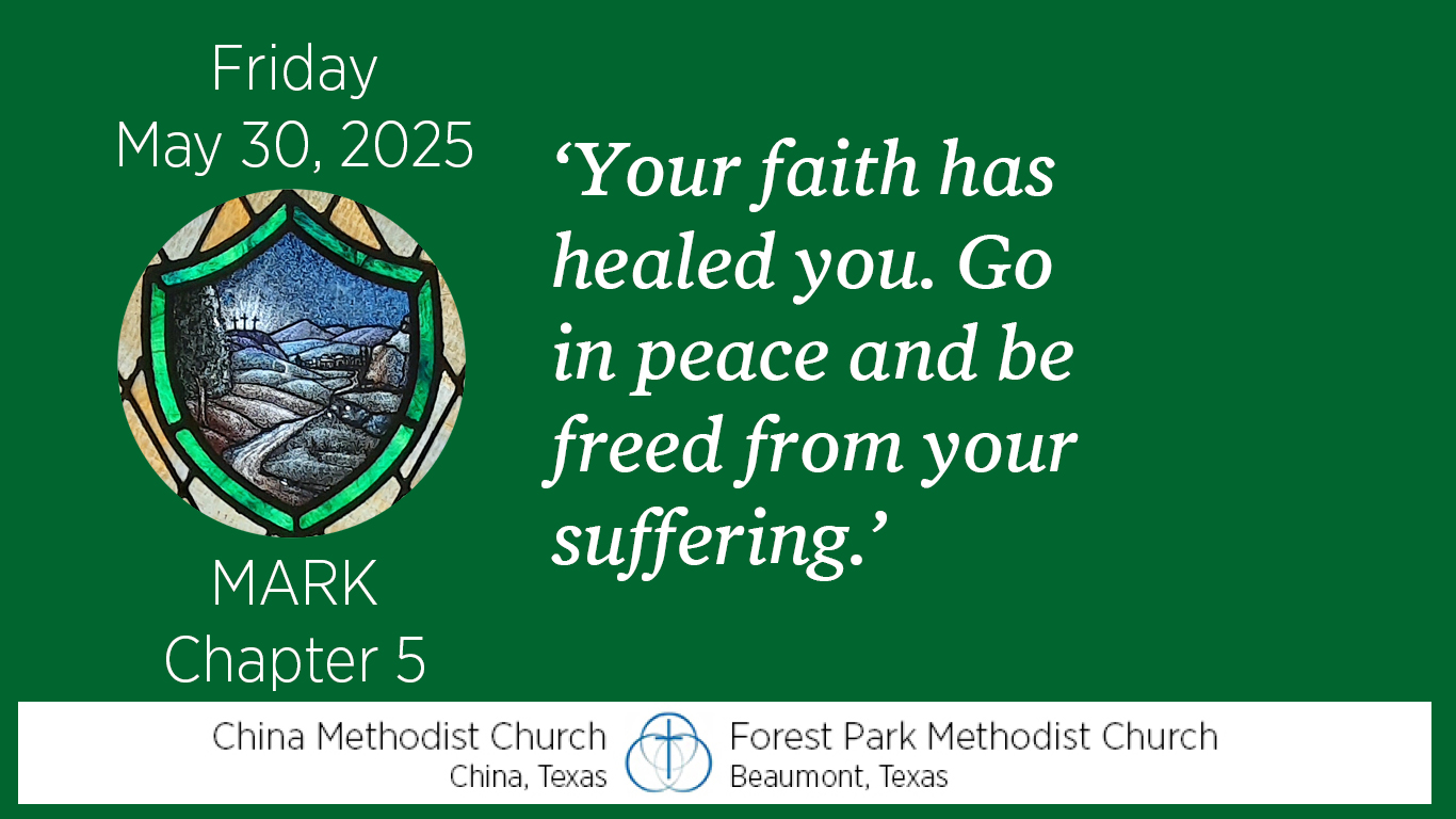 Your faith has healed you. Go in peace and be freed from your suffering.