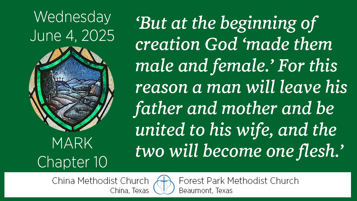 But at the beginning of creation God 'made them male and female.' For this reason a man will leave his father and mother and be united to his wife, and the two will become one flesh.
