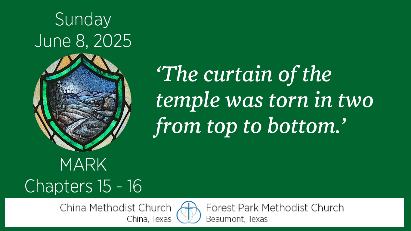 The curtain of the temple was torn in two from top to bottom.