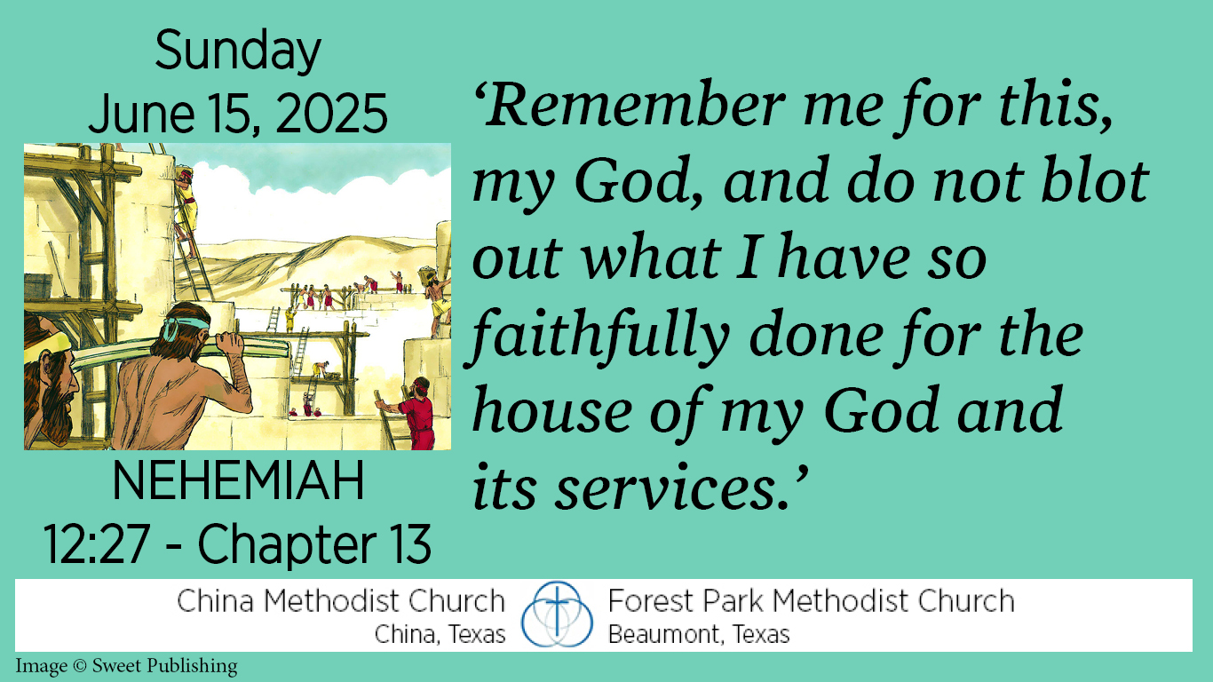 Remember me for this, my God, and do not blot out what I have so faithfully done for the house of my God and its services.