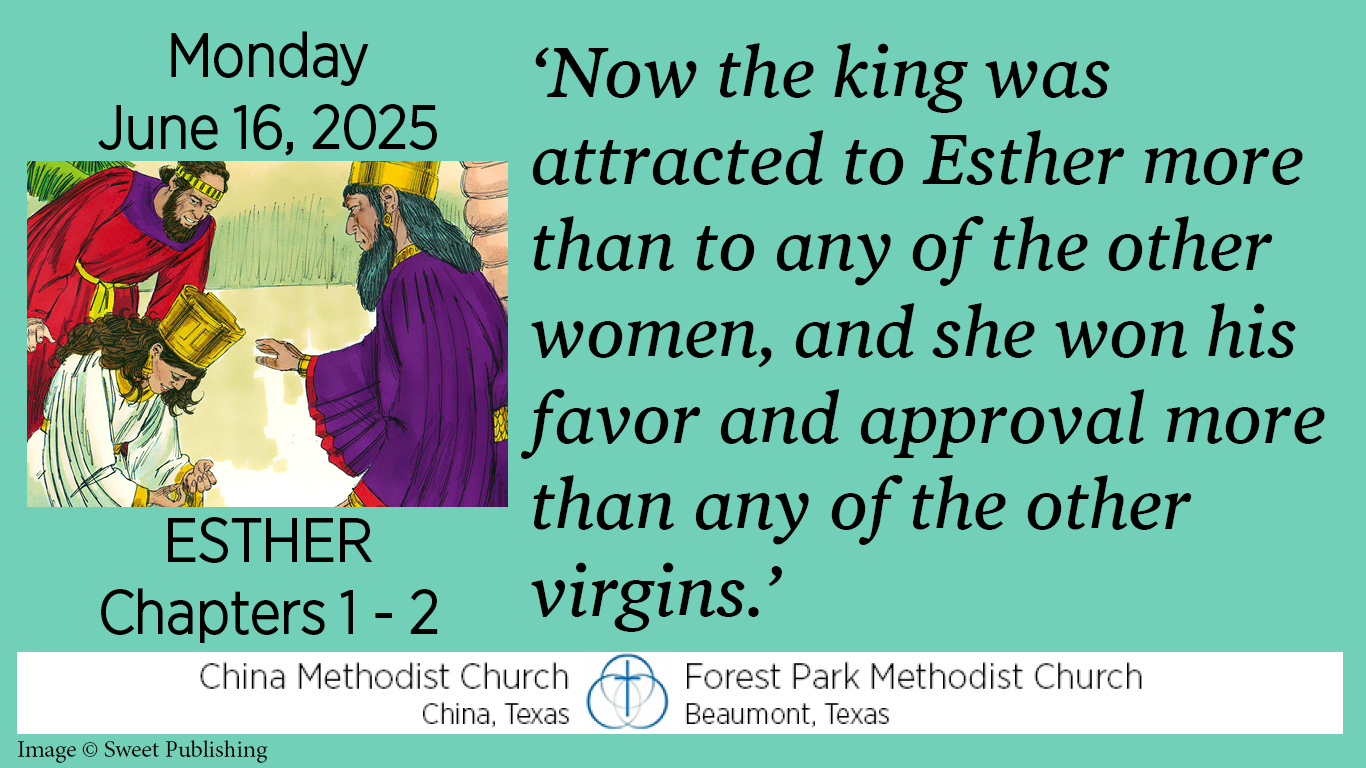 Now the king was attracted to Esther more than to any of the other women, and she won his favor and approval more than any of the other virgins.