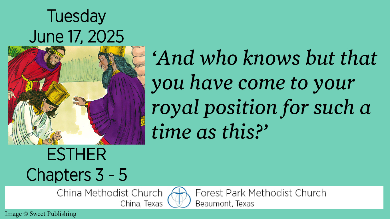 And who knows but that you have come to your royal position for such a time as this?